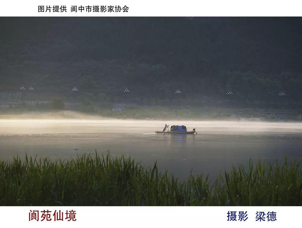 救援紫色生物